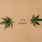 Покупка конопли в Липецке и ее свойства img-1211.jpg