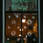 Купить семена конопли в Ростове на Дону img-1526.jpg