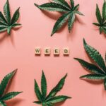 Купить семена конопли онлайн с доставкой по Украине и России img-1673.jpg