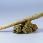 Покупка семян марихуаны онлайн img-188.jpg