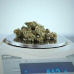 Семена конопли и их применение img-2132.jpg