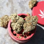 Свойства и применение конопляного семени img-2707.jpg