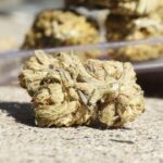 Спайс и его воздействие на организм и правовой статус в Беларуси img-3178.jpg