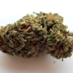 Выращивание марихуаны с нуля img-411.jpg